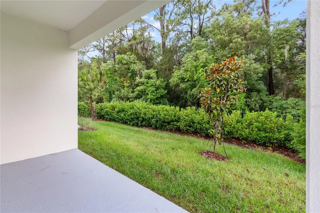 31365 Paper Birch Street Wesley Chapel FL 33545