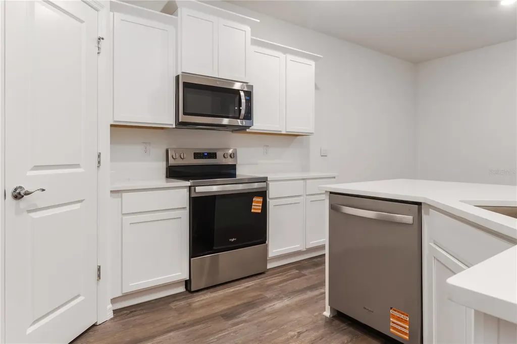 31365 Paper Birch Street Wesley Chapel FL 33545