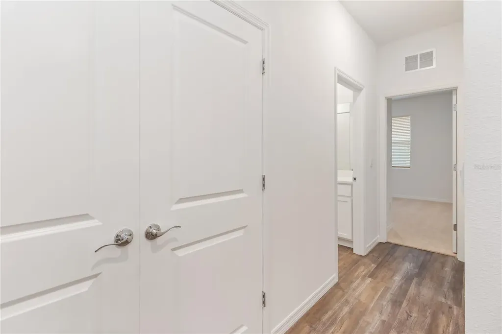 31365 Paper Birch Street Wesley Chapel FL 33545