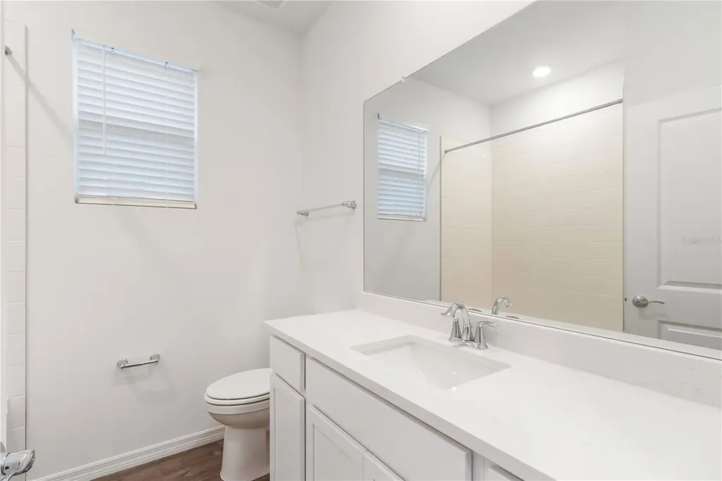 31365 Paper Birch Street Wesley Chapel FL 33545