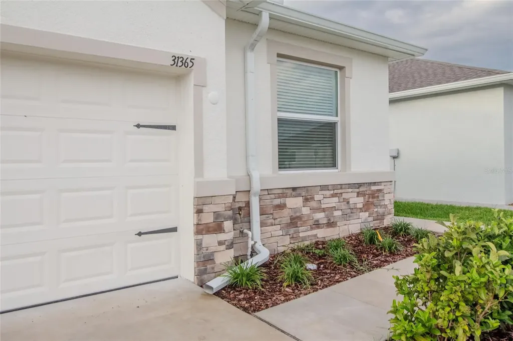 31365 Paper Birch Street Wesley Chapel FL 33545