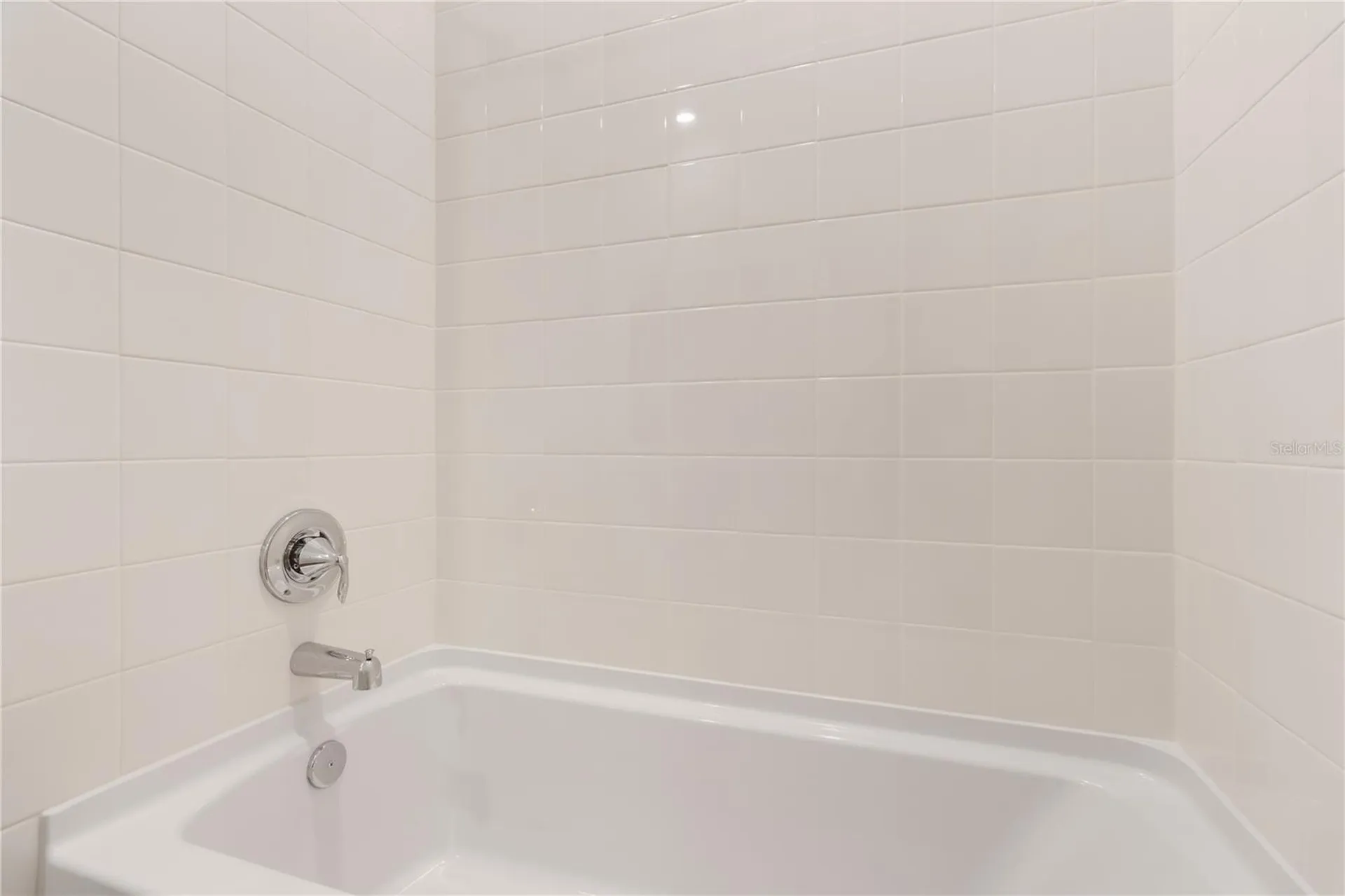 31365 Paper Birch Street Wesley Chapel FL 33545
