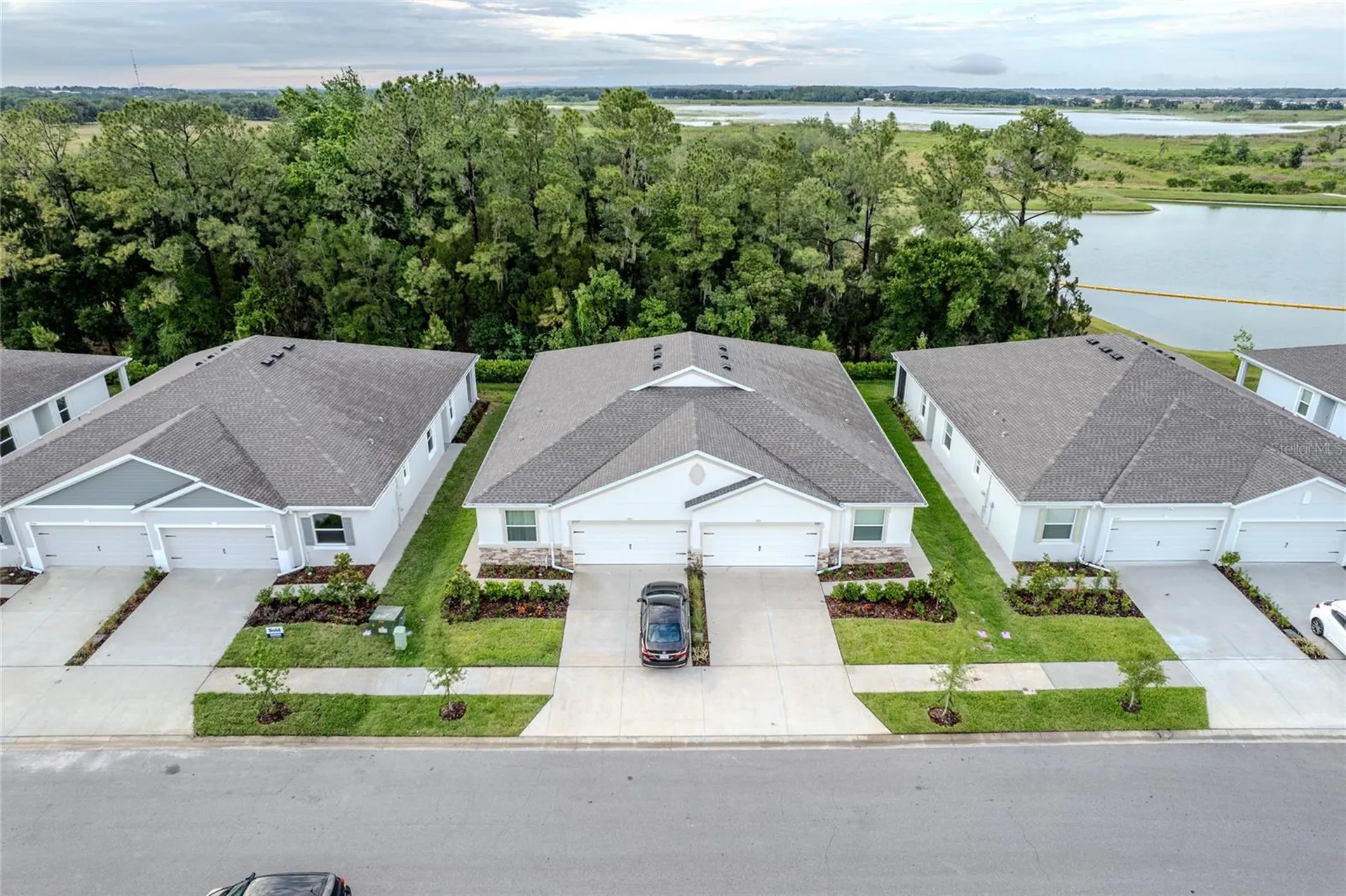 31365 Paper Birch Street Wesley Chapel FL 33545