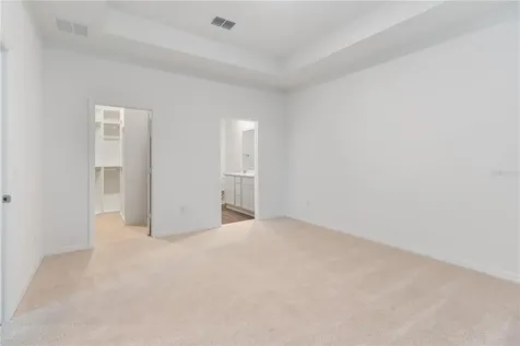 31365 Paper Birch Street Wesley Chapel FL 33545