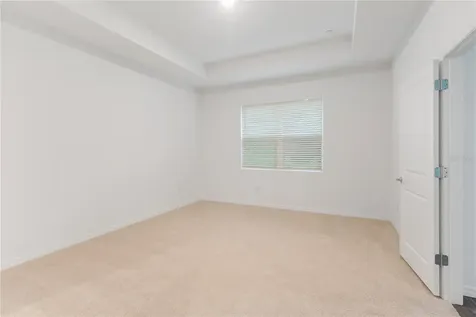 31365 Paper Birch Street Wesley Chapel FL 33545