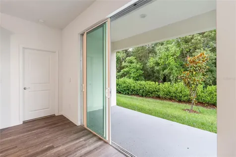 31365 Paper Birch Street Wesley Chapel FL 33545