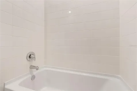 31365 Paper Birch Street Wesley Chapel FL 33545