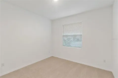 31365 Paper Birch Street Wesley Chapel FL 33545