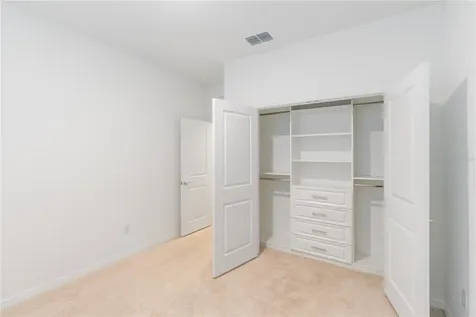 31365 Paper Birch Street Wesley Chapel FL 33545