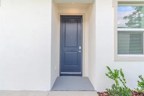 31365 Paper Birch Street Wesley Chapel FL 33545
