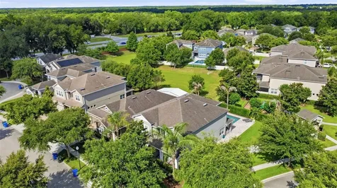 1065 Calla Lily Cove Oviedo FL 32766