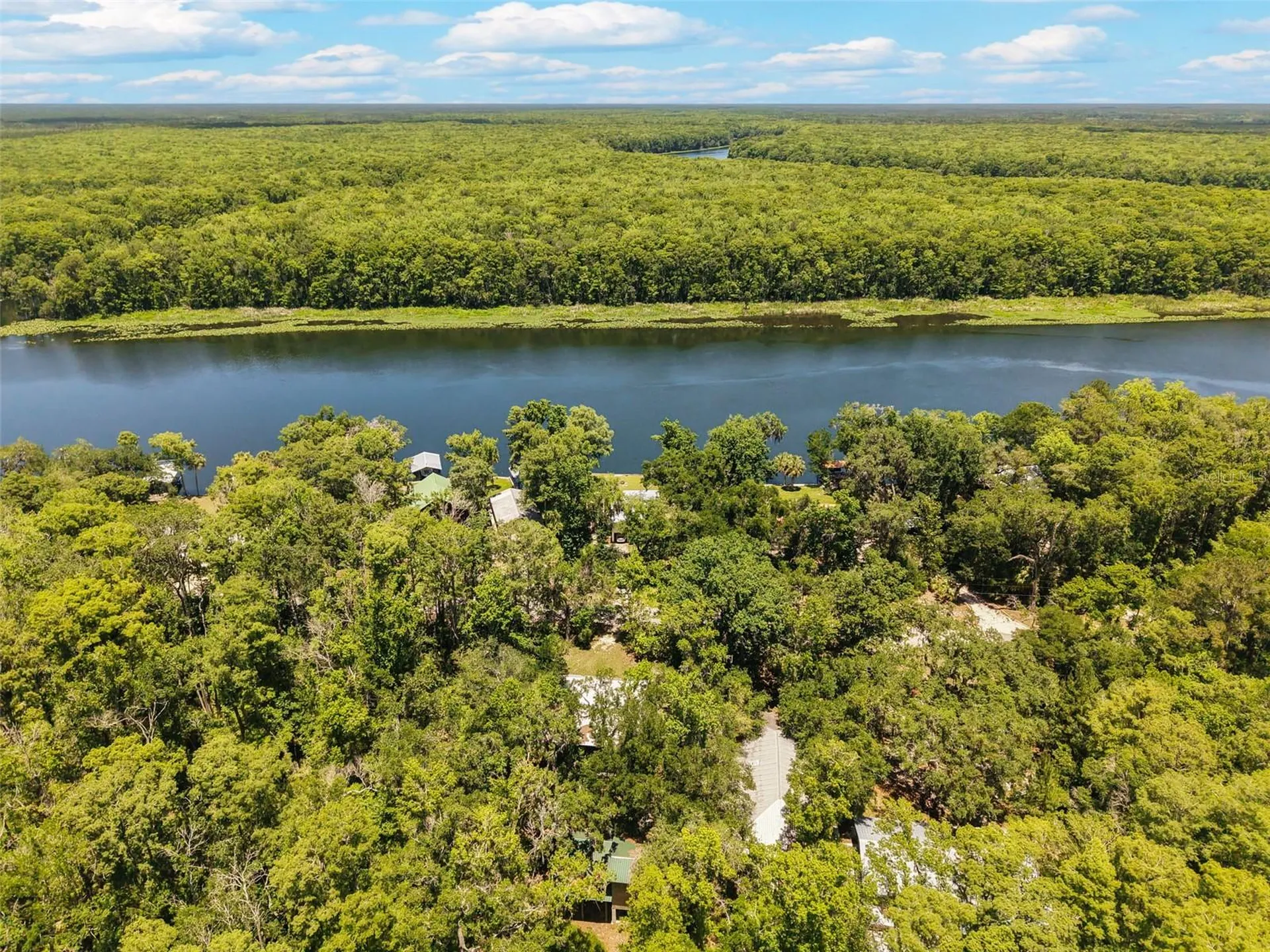 15471 NW 46th Lane Chiefland FL 32626