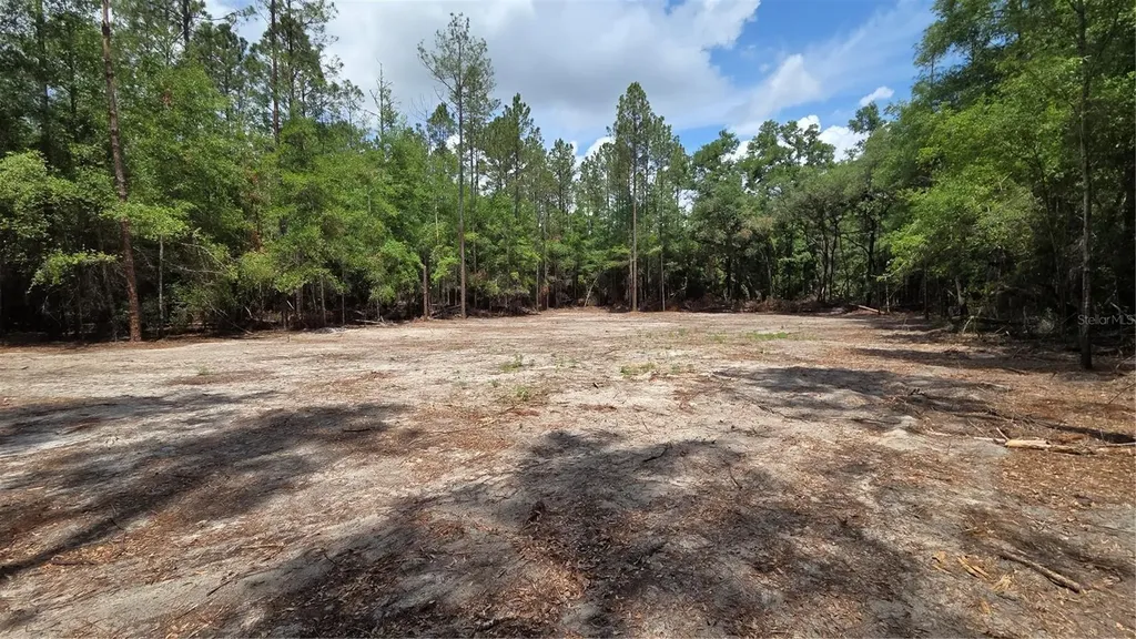 SW 61st Place Newberry FL 32669