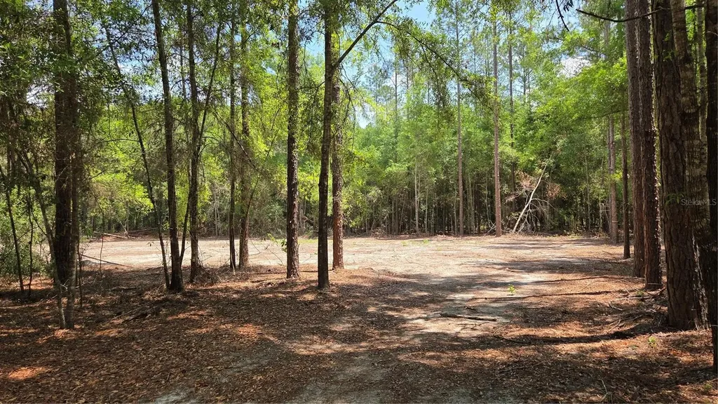 SW 61st Place Newberry FL 32669
