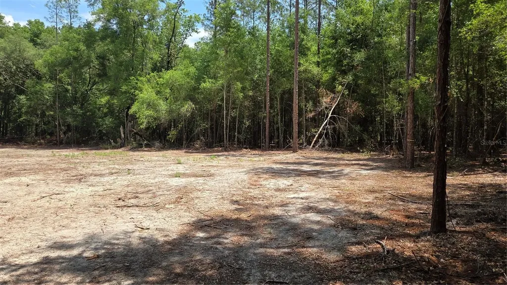 SW 61st Place Newberry FL 32669
