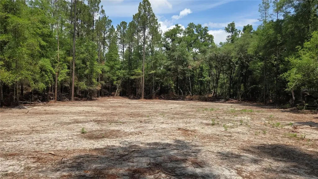 SW 61st Place Newberry FL 32669
