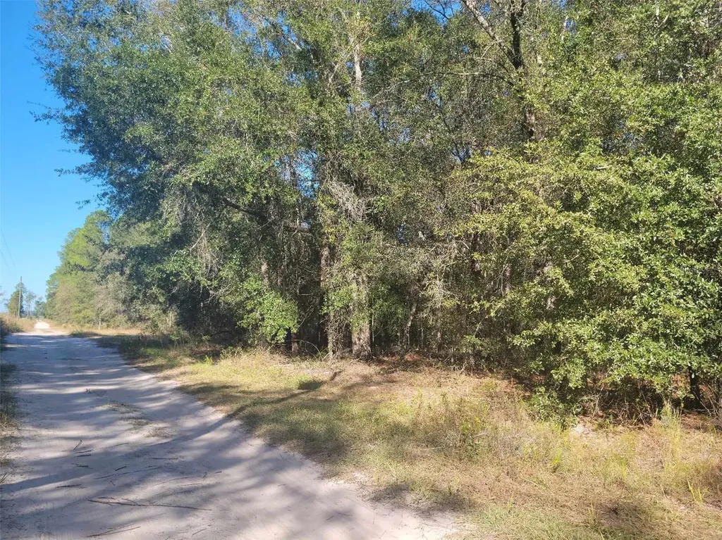 SW 61st Place Newberry FL 32669