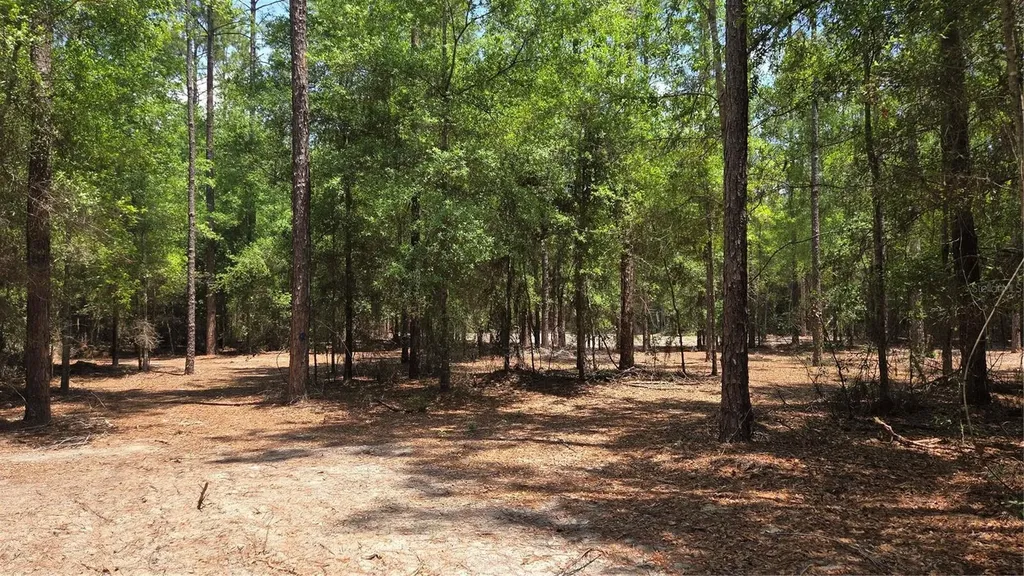 SW 61st Place Newberry FL 32669