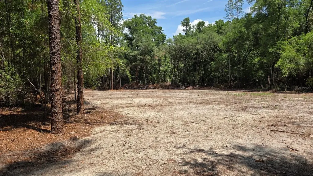 SW 61st Place Newberry FL 32669