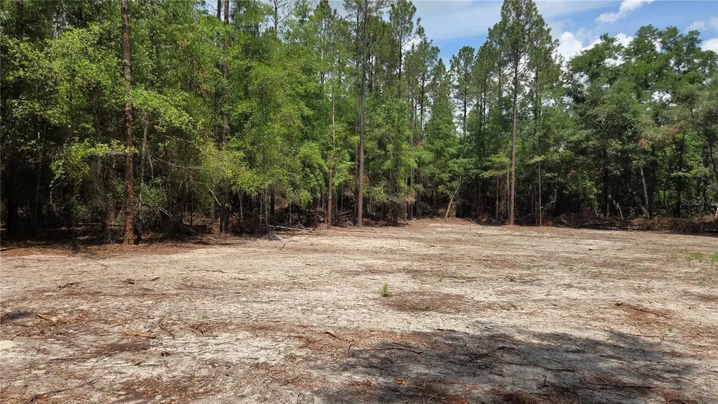 SW 61st Place Newberry FL 32669