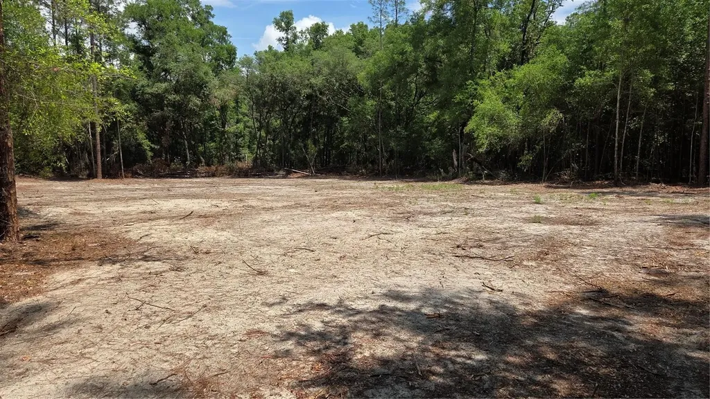 SW 61st Place Newberry FL 32669