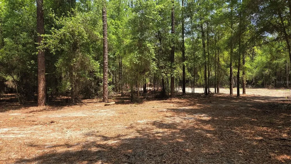 SW 61st Place Newberry FL 32669