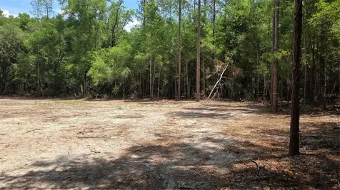 SW 61st Place Newberry FL 32669