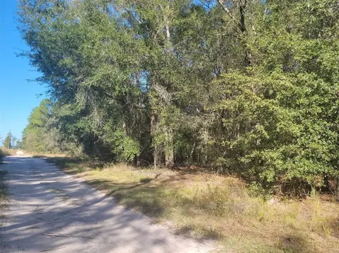 SW 61st Place Newberry FL 32669