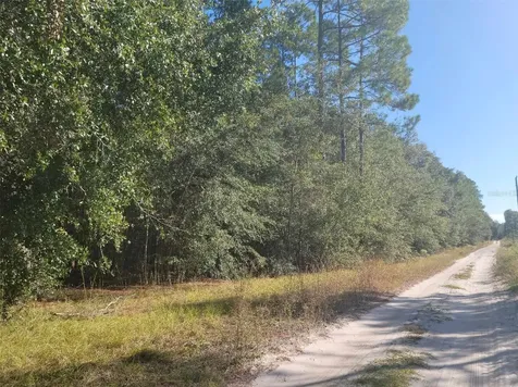SW 61st Place Newberry FL 32669