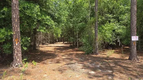 SW 61st Place Newberry FL 32669