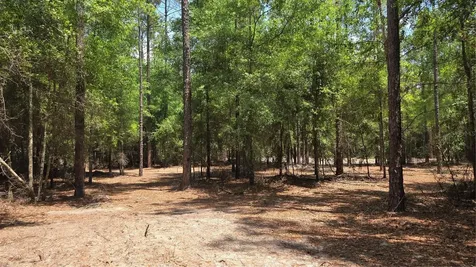 SW 61st Place Newberry FL 32669