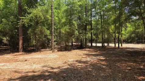 SW 61st Place Newberry FL 32669