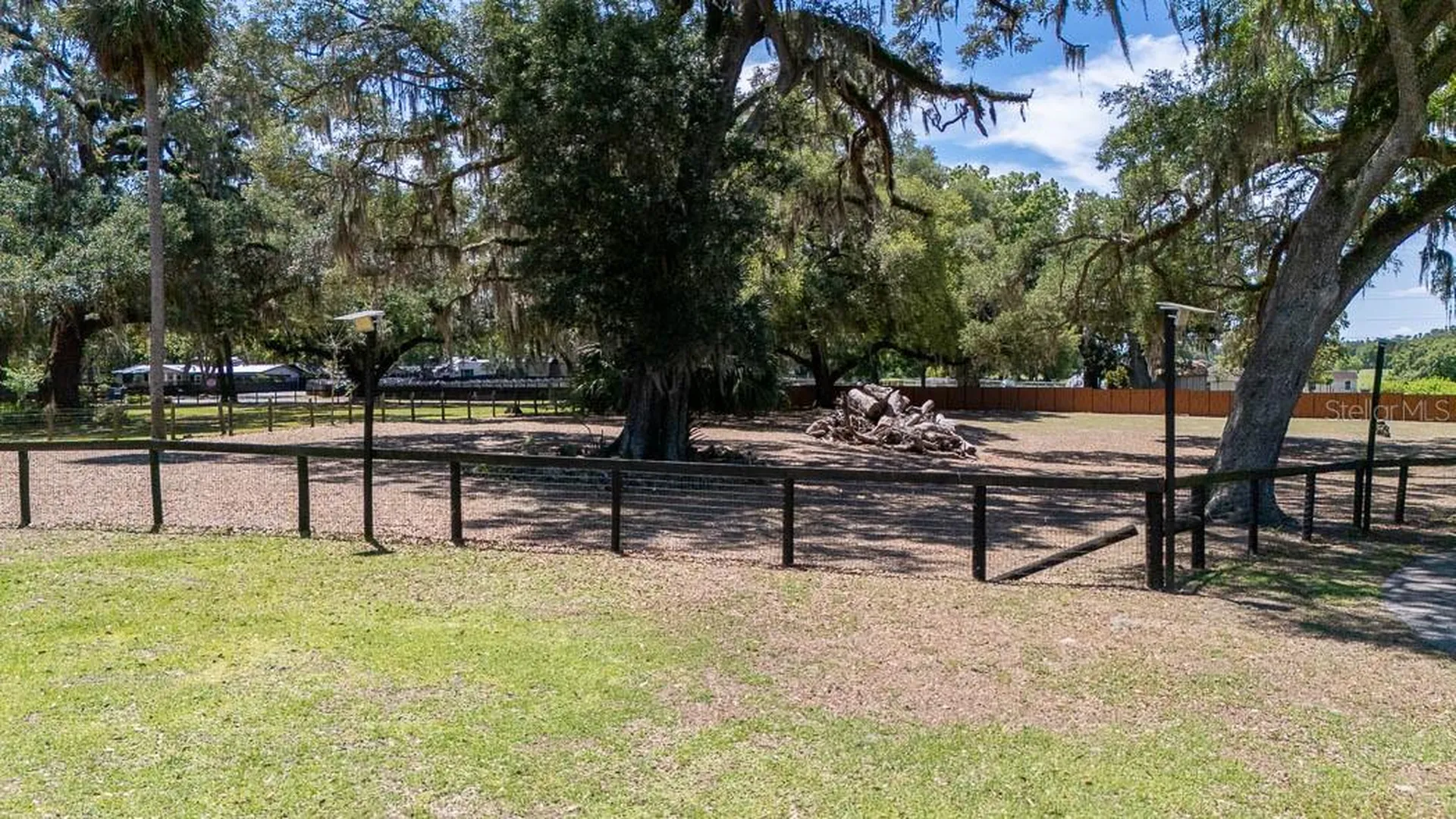 830 NW 111th Lane Oxford FL 34484