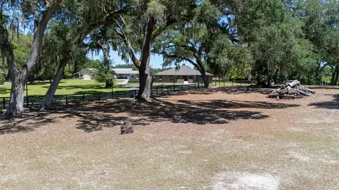 830 NW 111th Lane Oxford FL 34484