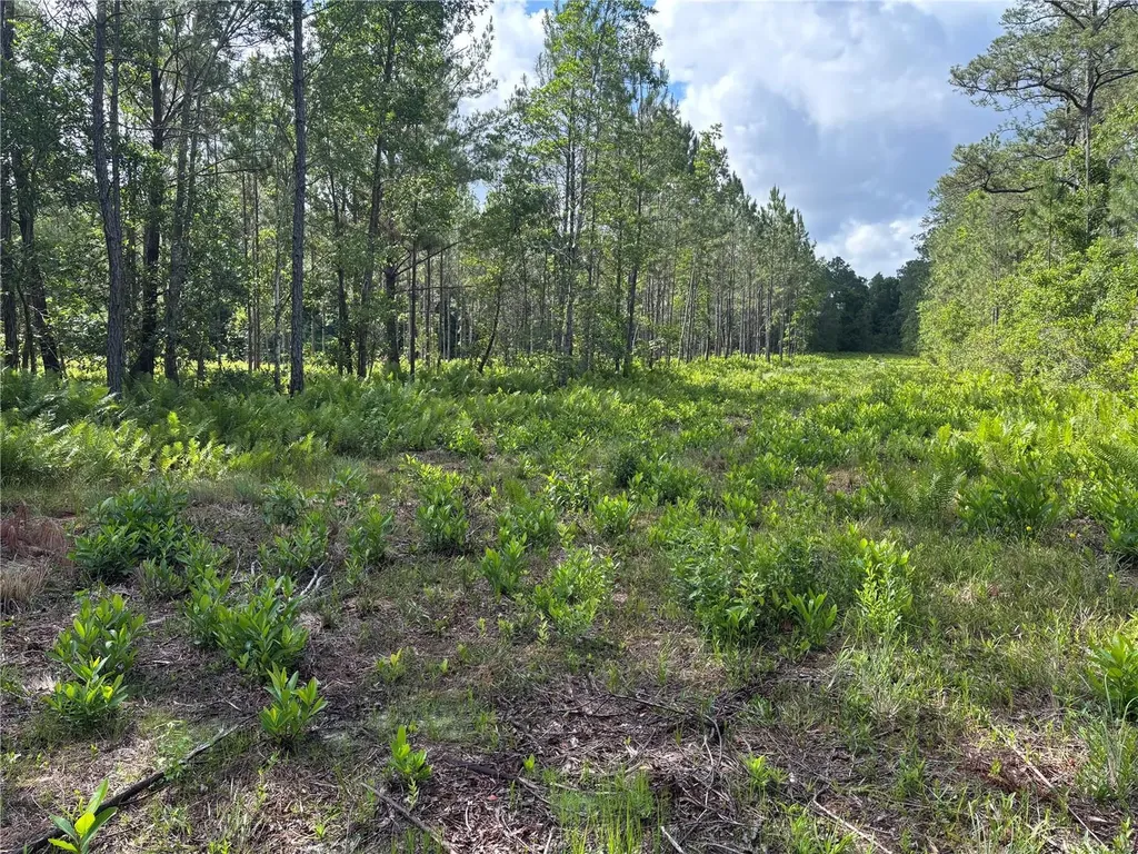 0 N Us Highway 17 Seville FL 32190