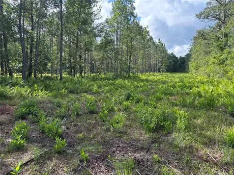 0 N Us Highway 17 Seville FL 32190