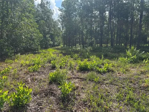 0 N Us Highway 17 Seville FL 32190