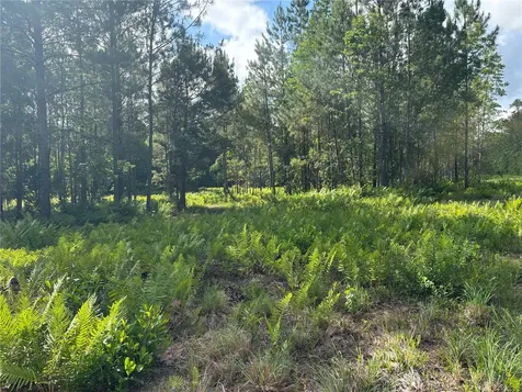 0 N Us Highway 17 Seville FL 32190