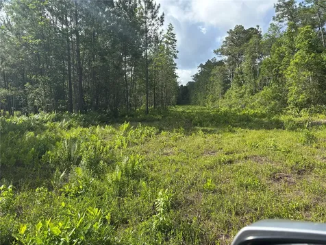 0 N Us Highway 17 Seville FL 32190
