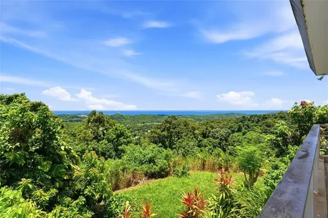 988 Km 1.5 Luquillo PR 00773