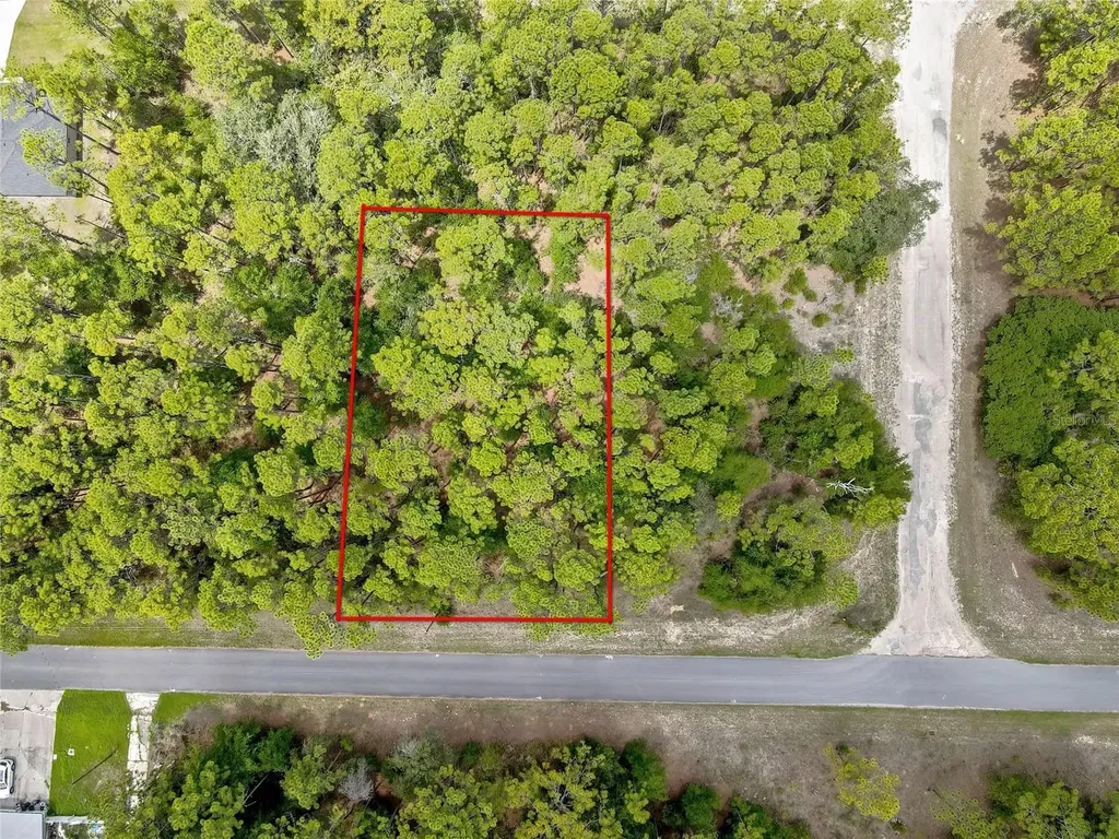 7732 N Udal Drive Citrus Springs FL 34434