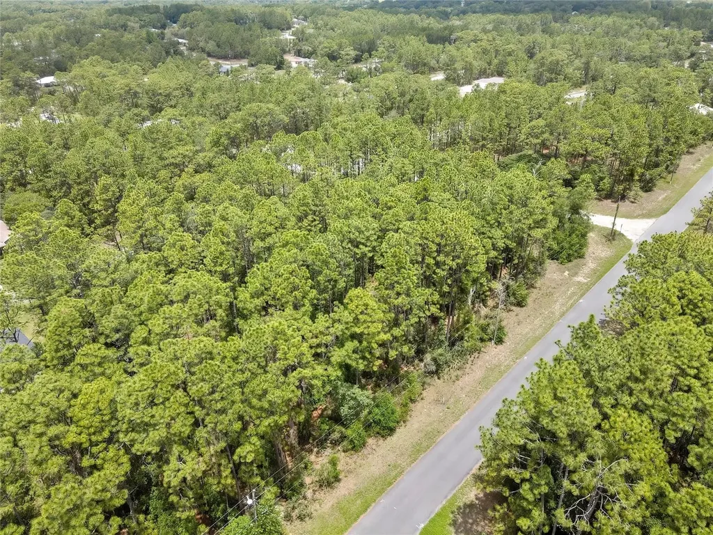 7732 N Udal Drive Citrus Springs FL 34434