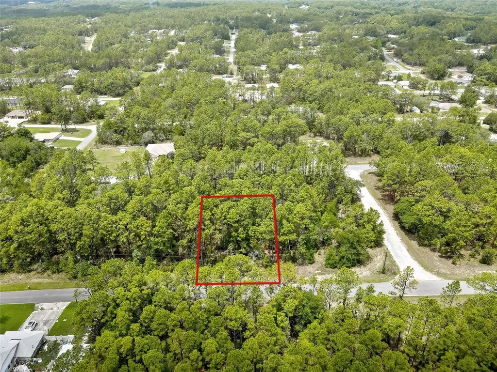 7732 N Udal Drive Citrus Springs FL 34434