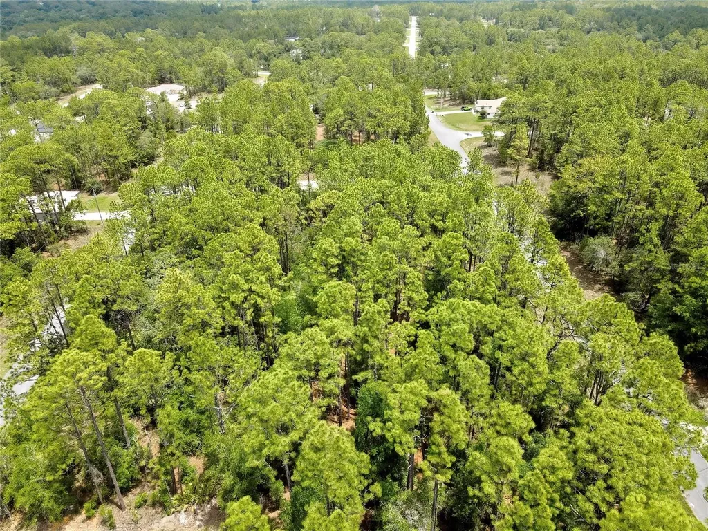 7732 N Udal Drive Citrus Springs FL 34434