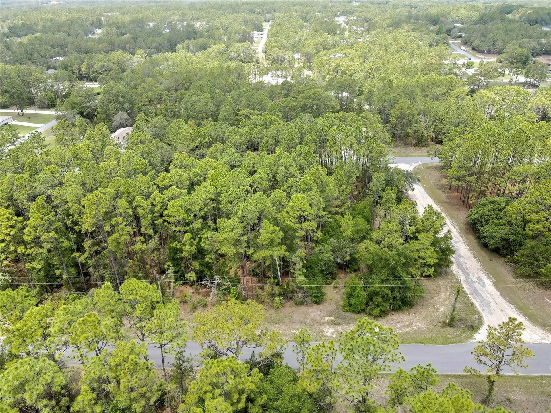 7732 N Udal Drive Citrus Springs FL 34434