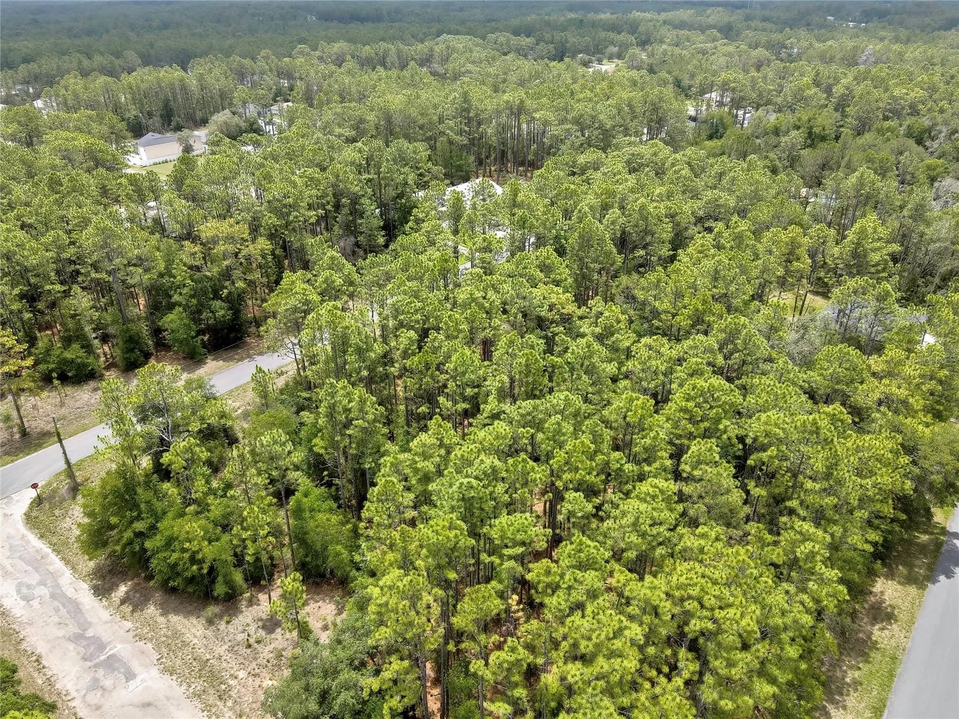 7732 N Udal Drive Citrus Springs FL 34434