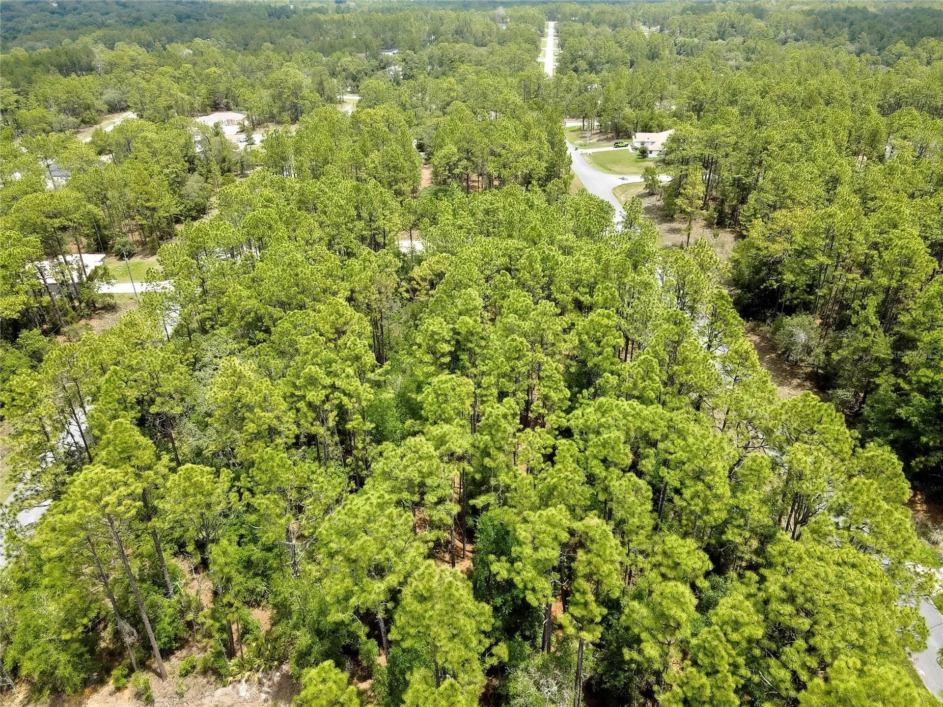 7732 N Udal Drive Citrus Springs FL 34434