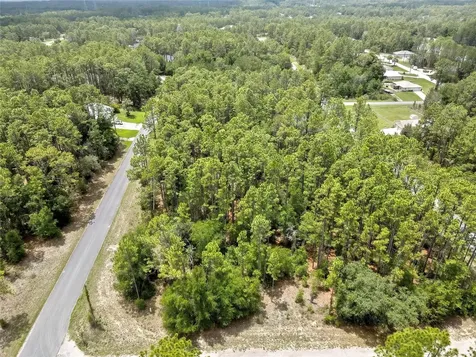 7732 N Udal Drive Citrus Springs FL 34434