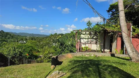 Bo. Guaraguao Sector Sanchez Mulero Bayamon PR 00956