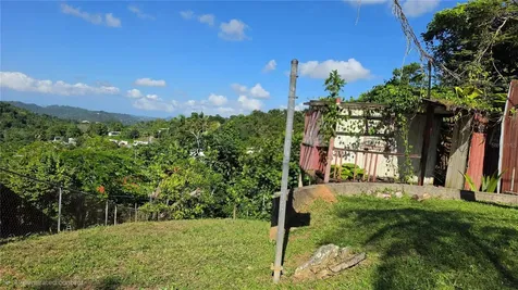 Bo. Guaraguao Sector Sanchez Mulero Bayamon PR 00956